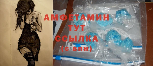индика Гусев