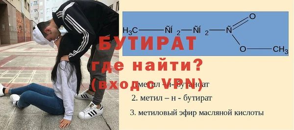 индика Гусев