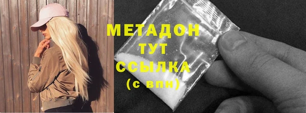 амф Гусь-Хрустальный