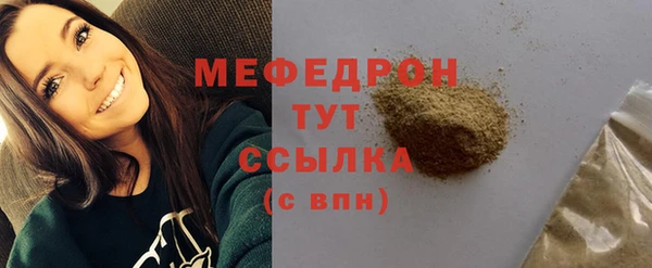амф Гусь-Хрустальный