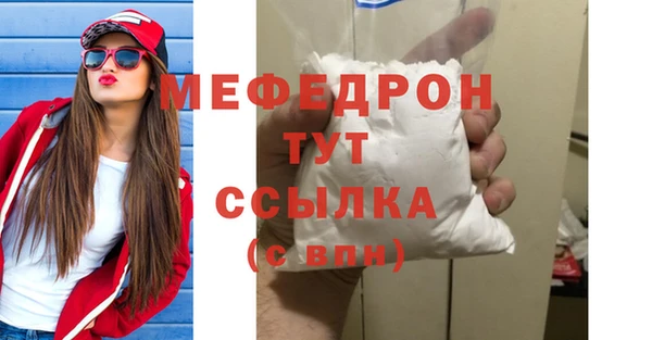индика Гусев