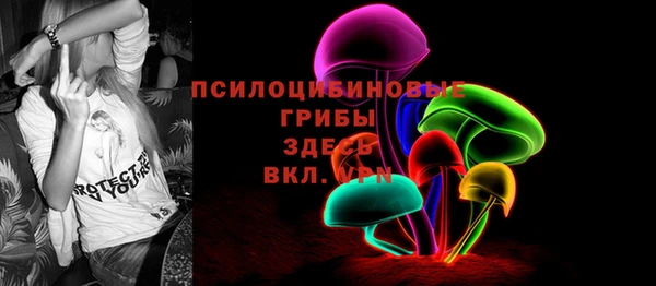 твердый Каменногорск