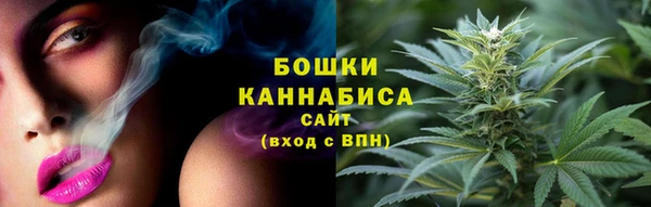 амф Гусь-Хрустальный