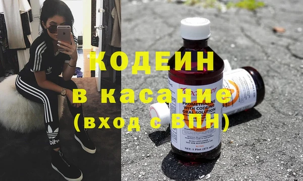 индика Гусев