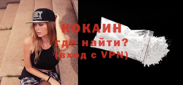 индика Гусев