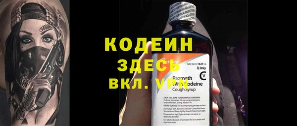 амф Гусь-Хрустальный
