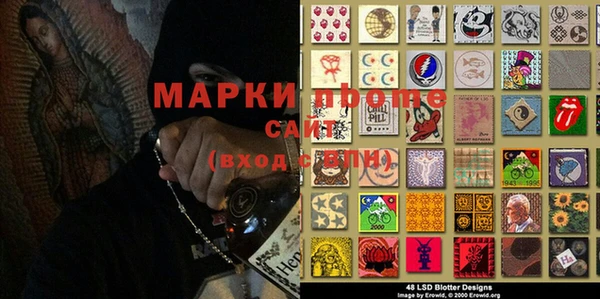 амф Гусь-Хрустальный