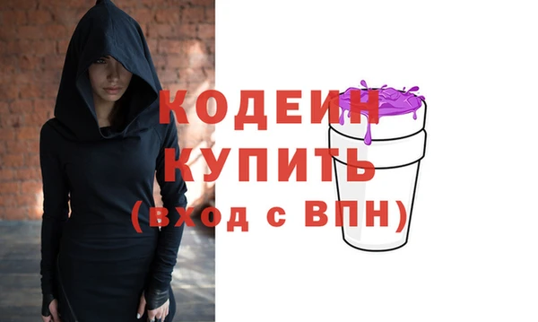 амф Гусь-Хрустальный
