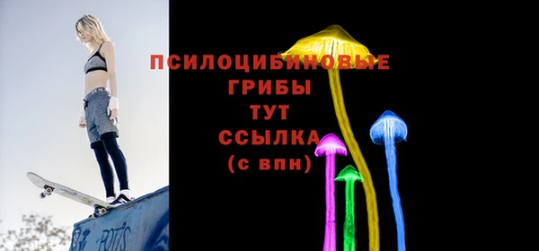 амф Гусь-Хрустальный