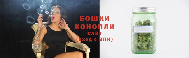 индика Гусев