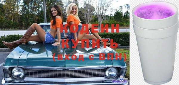 индика Гусев
