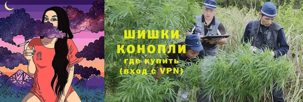 индика Гусев