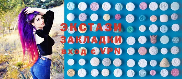индика Гусев