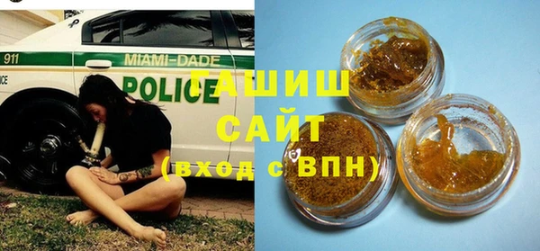 индика Гусев