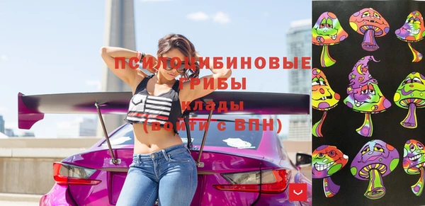 индика Гусев