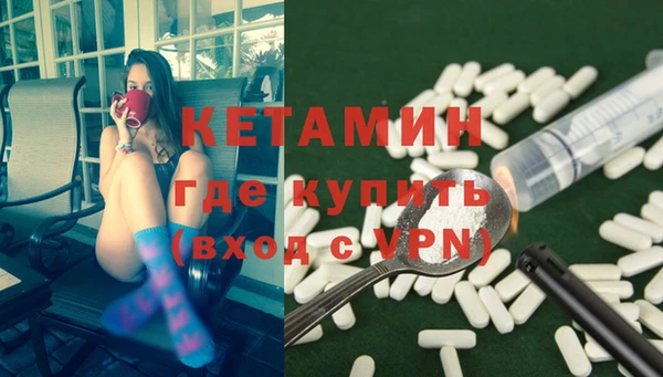 амф Гусь-Хрустальный