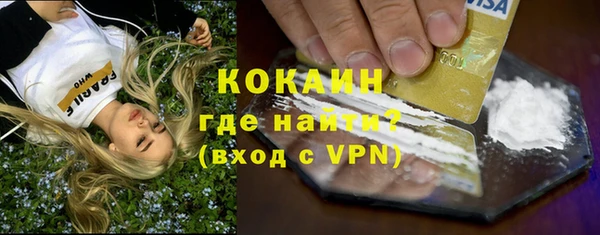 индика Гусев