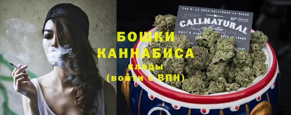 амф Гусь-Хрустальный