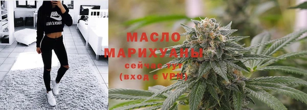 амф Гусь-Хрустальный