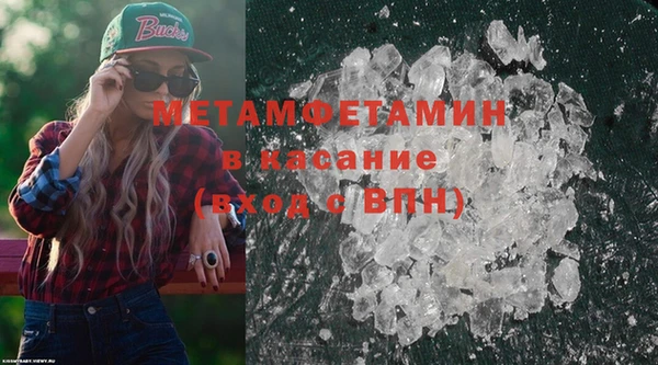 индика Гусев