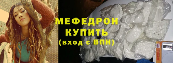 индика Гусев