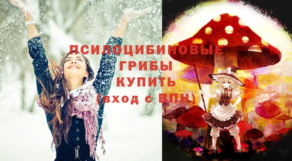 МДМА Гусиноозёрск