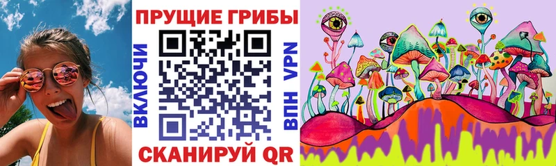 Псилоцибиновые грибы GOLDEN TEACHER  купить наркоту  Нижнекамск 