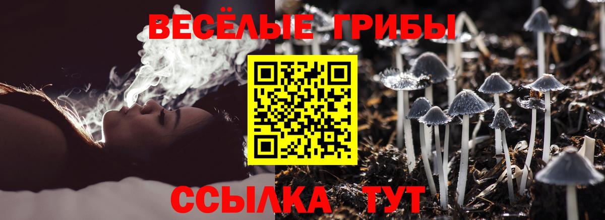Галлюциногенные грибы Psilocybe Нижнекамск